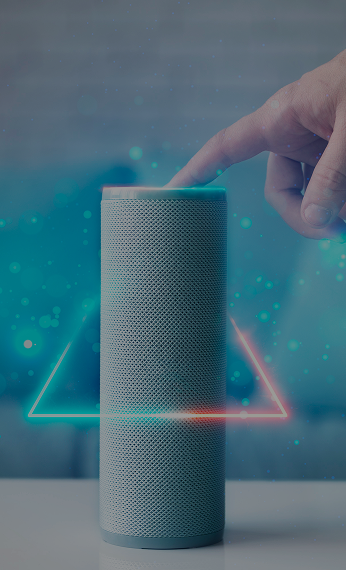 Voice Assistants & AI Solutions