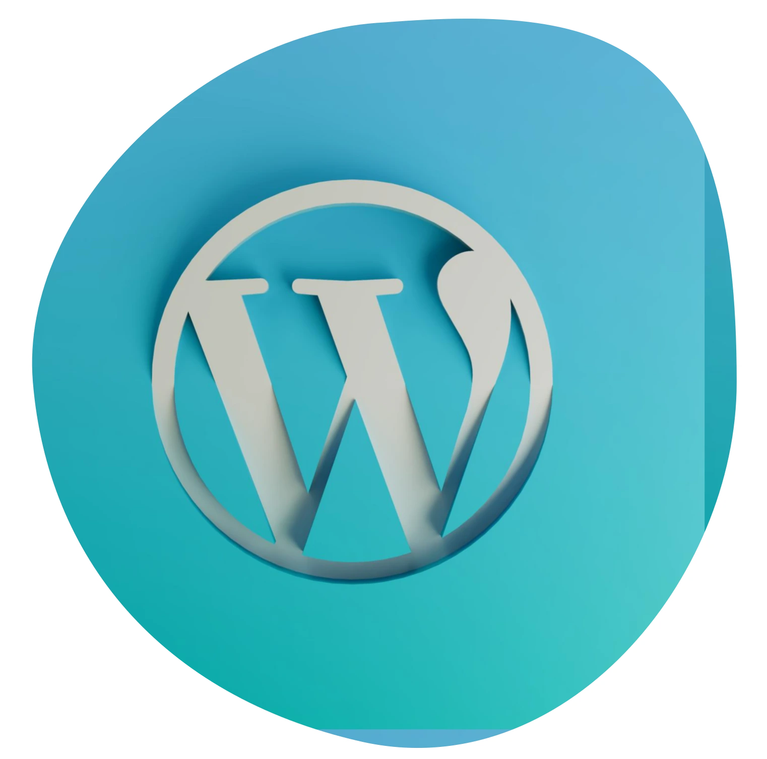 Hire Wordpress Developer