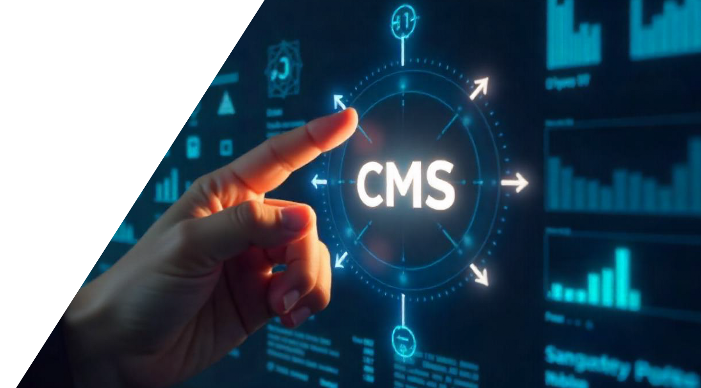 Custom CMS Development