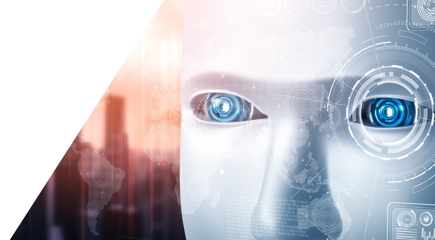 Vision AI Development