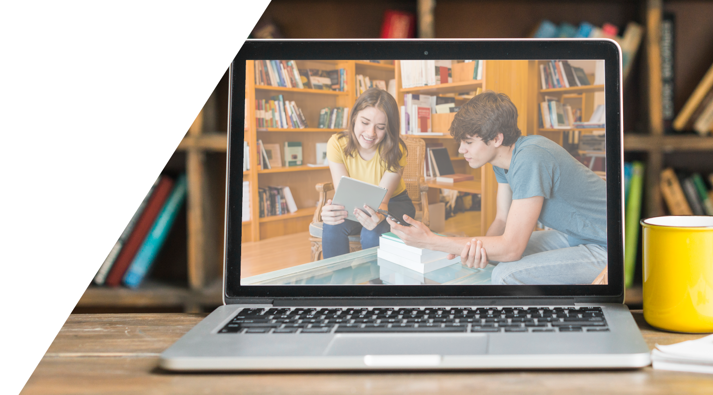 WordPress Development