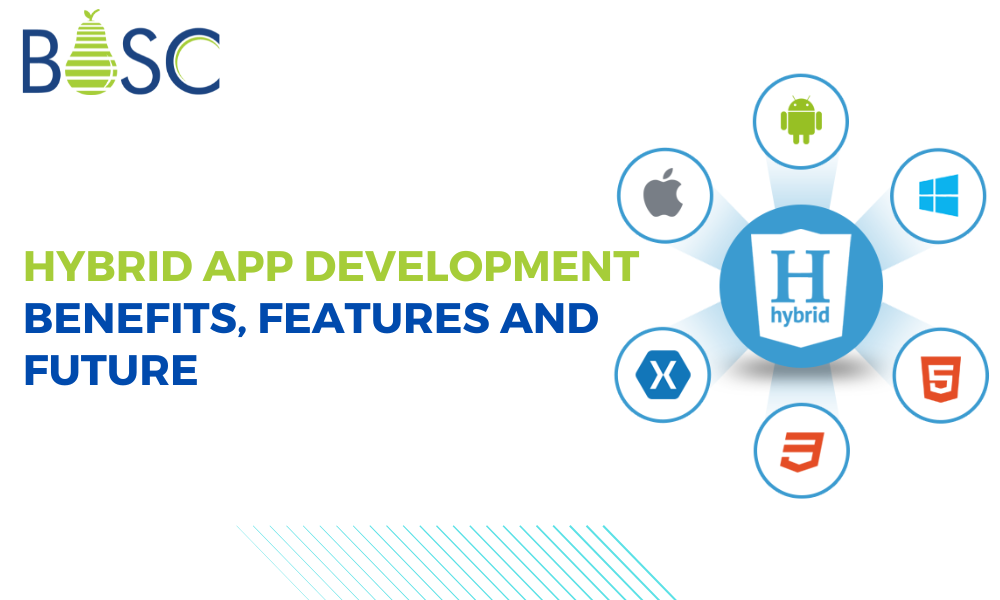 A Complete Guide: Hybrid App Development