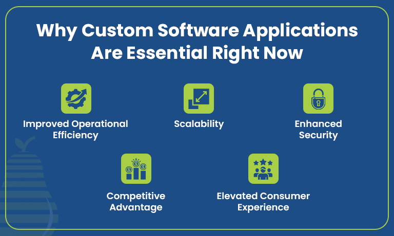 Custom software applications
