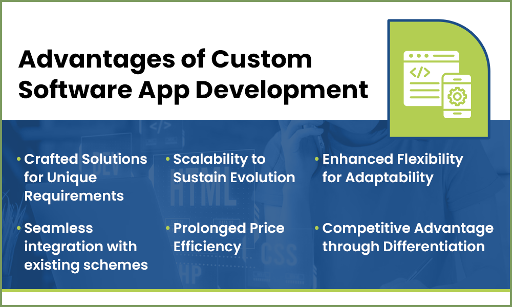 Advantages of Custom Software Application Development Services