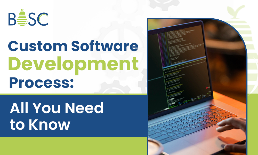 Custom Software Development Process: All You Need to Know
