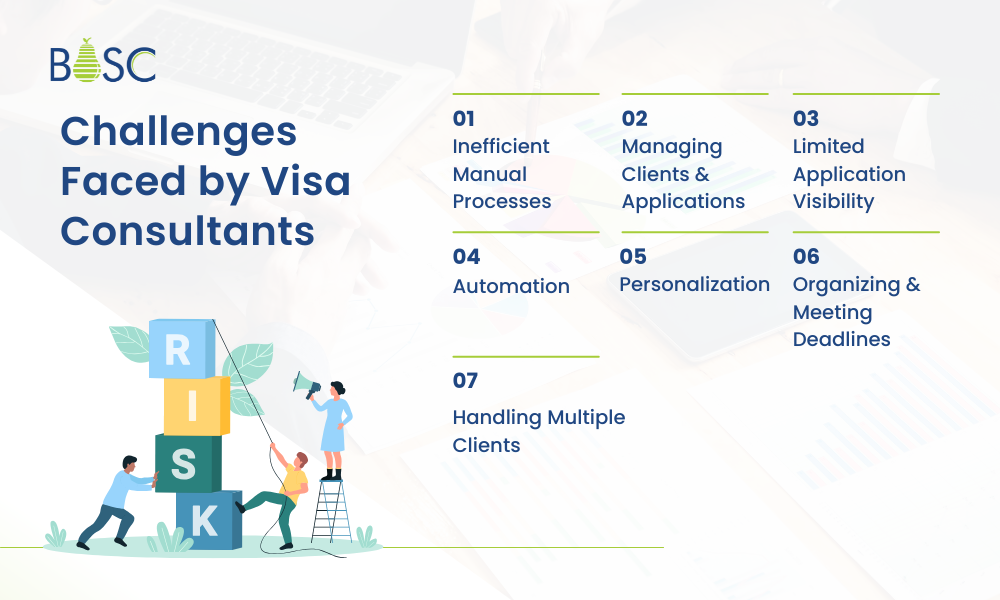 Challenges Faced by Visa Consultants