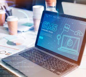 Custom CMS Development